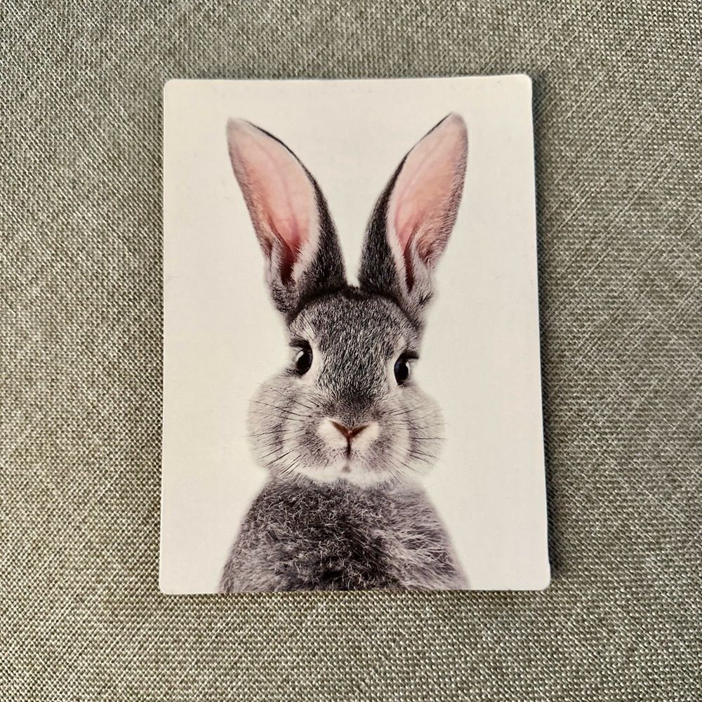 Cute Rabbit Print  Magnet - Picture 5 of 5